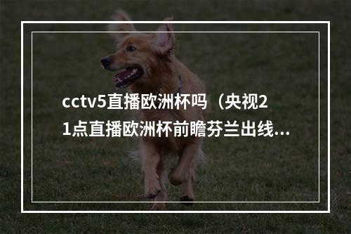 cctv5直播欧洲杯吗（央视21点直播欧洲杯前瞻芬兰出线只需1分）