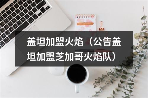 盖坦加盟火焰（公告盖坦加盟芝加哥火焰队）