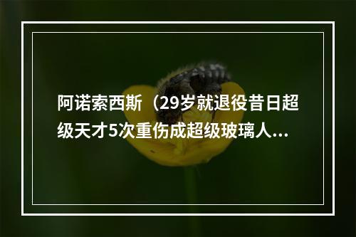 阿诺索西斯（29岁就退役昔日超级天才5次重伤成超级玻璃人）