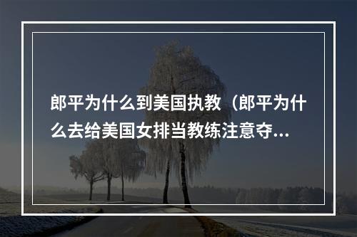 郎平为什么到美国执教（郎平为什么去给美国女排当教练注意夺冠里的细节交代）