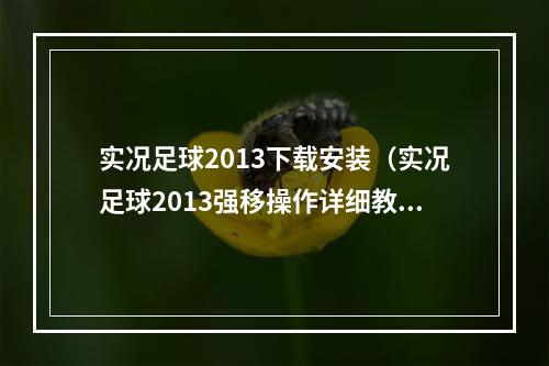 实况足球2013下载安装（实况足球2013强移操作详细教学）