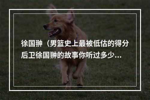 徐国翀（男篮史上最被低估的得分后卫徐国翀的故事你听过多少）