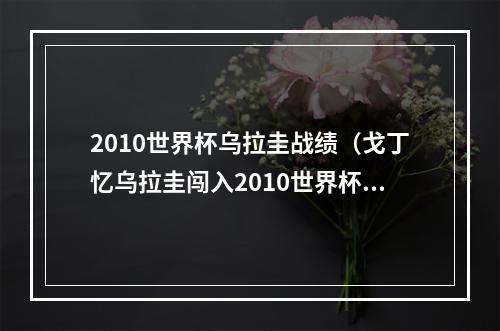 2010世界杯乌拉圭战绩（戈丁忆乌拉圭闯入2010世界杯那段艰难经历铸就后来的辉煌成就）