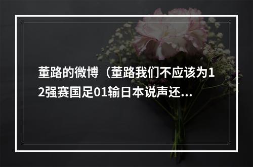 董路的微博（董路我们不应该为12强赛国足01输日本说声还可以吗）