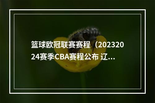 篮球欧冠联赛赛程（20232024赛季CBA赛程公布 辽篮10月21日揭幕战主场迎战同曦队）