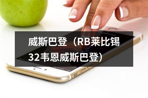 威斯巴登（RB莱比锡32韦恩威斯巴登）