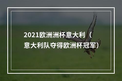 2021欧洲洲杯意大利（意大利队夺得欧洲杯冠军）