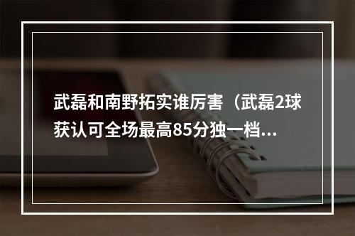 武磊和南野拓实谁厉害（武磊2球获认可全场最高85分独一档 球迷不用酸南野拓实了）