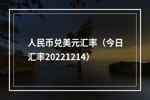 人民币兑美元汇率（今日汇率20221214）