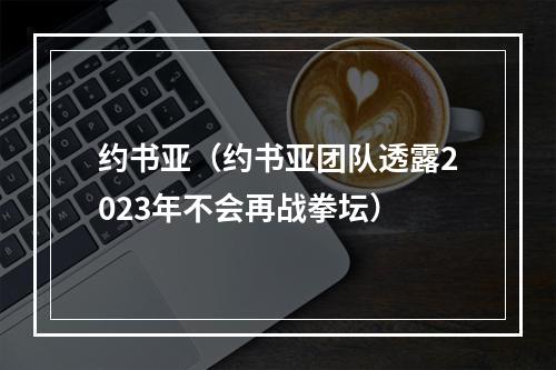 约书亚（约书亚团队透露2023年不会再战拳坛）