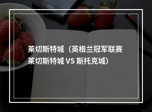 莱切斯特城（英格兰冠军联赛 莱切斯特城 VS 斯托克城）