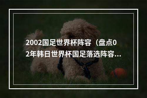 2002国足世界杯阵容（盘点02年韩日世界杯国足落选阵容完爆目前球员）