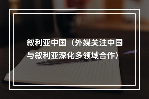 叙利亚中国（外媒关注中国与叙利亚深化多领域合作）