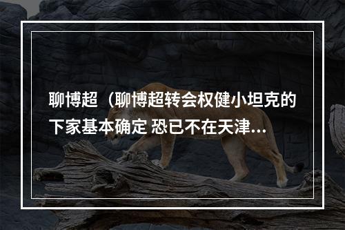 聊博超（聊博超转会权健小坦克的下家基本确定 恐已不在天津）