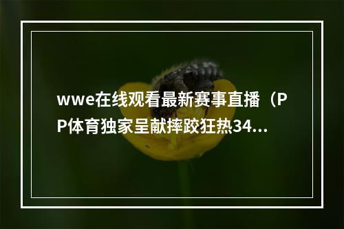 wwe在线观看最新赛事直播（PP体育独家呈献摔跤狂热34 直播活动助摔迷尽享WWE年度盛宴）