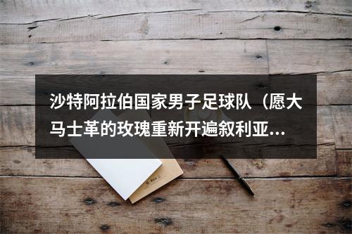 沙特阿拉伯国家男子足球队（愿大马士革的玫瑰重新开遍叙利亚中东地区足球国家队盘点）