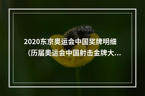 2020东京奥运会中国奖牌明细（历届奥运会中国射击金牌大盘点19842021）