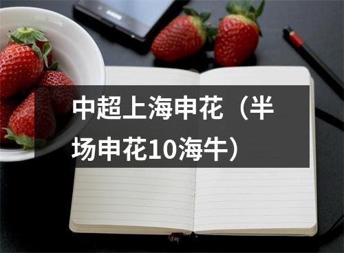 中超上海申花（半场申花10海牛）