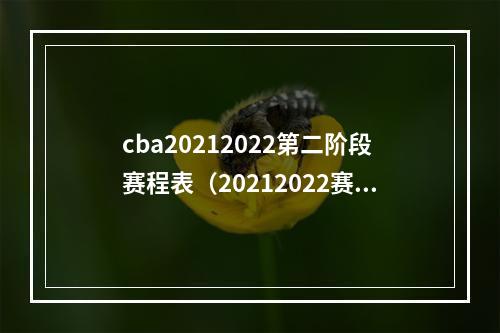 cba20212022第二阶段赛程表（20212022赛季CBA联赛常规赛第二阶段赛程最新更新）