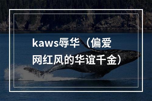 kaws辱华（偏爱网红风的华谊千金）