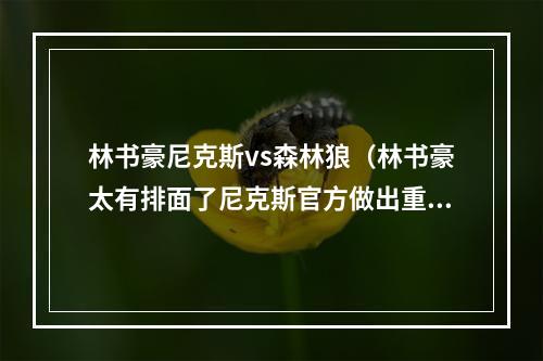 林书豪尼克斯vs森林狼（林书豪太有排面了尼克斯官方做出重要决定）