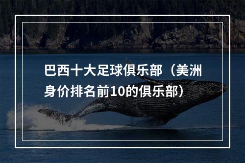 巴西十大足球俱乐部（美洲身价排名前10的俱乐部）