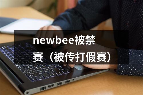 newbee被禁赛（被传打假赛）