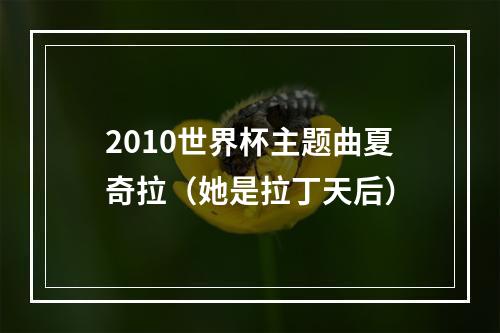 2010世界杯主题曲夏奇拉（她是拉丁天后）