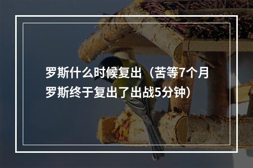 罗斯什么时候复出（苦等7个月罗斯终于复出了出战5分钟）