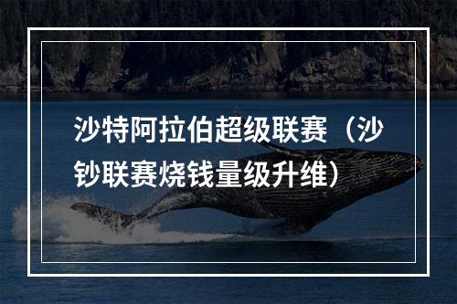 沙特阿拉伯超级联赛（沙钞联赛烧钱量级升维）