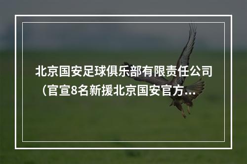 北京国安足球俱乐部有限责任公司（官宣8名新援北京国安官方李磊杨立瑜方昊韩佳奇加盟）