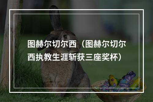 图赫尔切尔西（图赫尔切尔西执教生涯斩获三座奖杯）