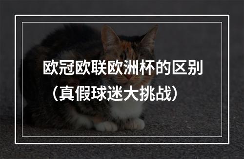 欧冠欧联欧洲杯的区别（真假球迷大挑战）