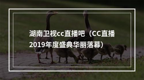 湖南卫视cc直播吧（CC直播2019年度盛典华丽落幕）