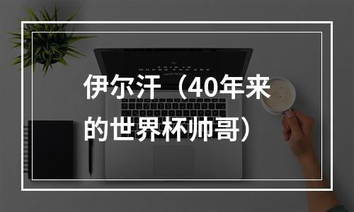 伊尔汗（40年来的世界杯帅哥）