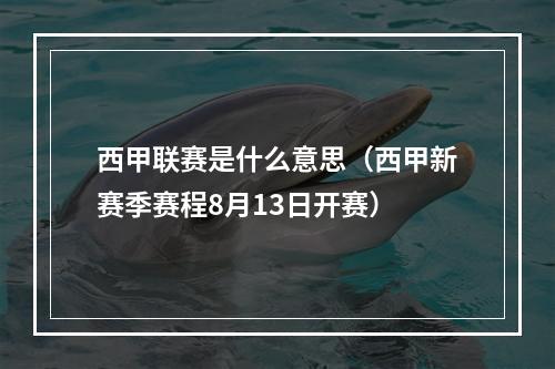 西甲联赛是什么意思（西甲新赛季赛程8月13日开赛）