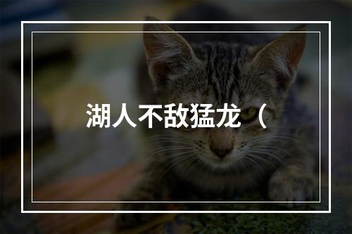 湖人不敌猛龙（