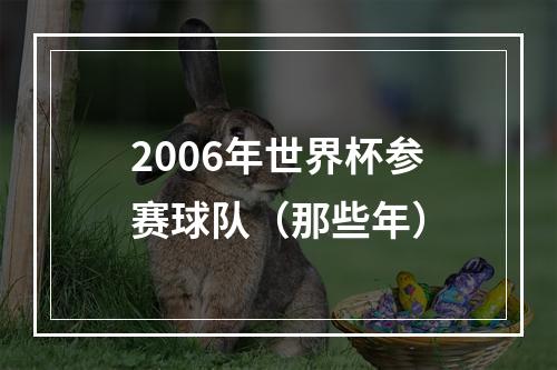 2006年世界杯参赛球队（那些年）