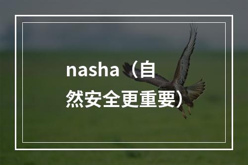 nasha（自然安全更重要）