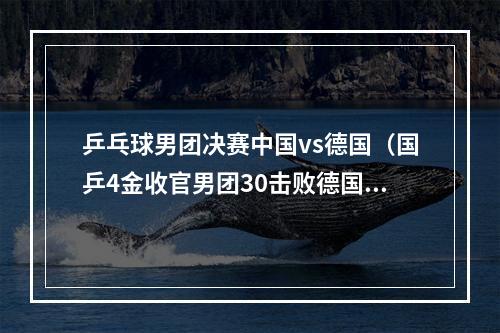 乒乓球男团决赛中国vs德国（国乒4金收官男团30击败德国）