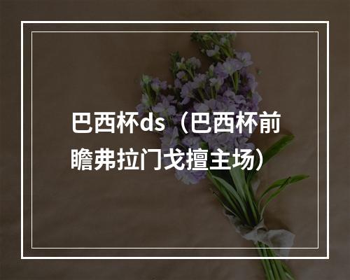 巴西杯ds（巴西杯前瞻弗拉门戈擅主场）