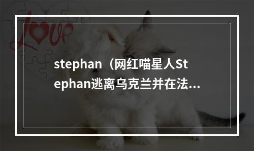 stephan（网红喵星人Stephan逃离乌克兰并在法国找到了安全的地方）