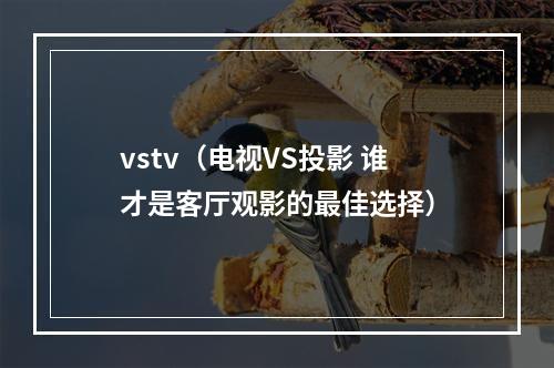 vstv（电视VS投影 谁才是客厅观影的最佳选择）