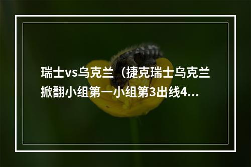 瑞士vs乌克兰（捷克瑞士乌克兰掀翻小组第一小组第3出线4队）