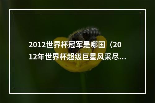 2012世界杯冠军是哪国（2012年世界杯超级巨星风采尽显）