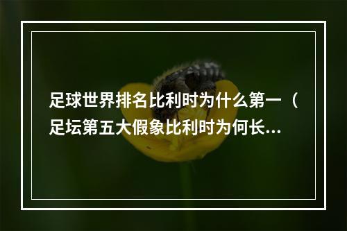 足球世界排名比利时为什么第一（足坛第五大假象比利时为何长期占据世界排名第一）