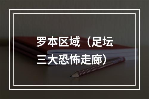 罗本区域（足坛三大恐怖走廊）