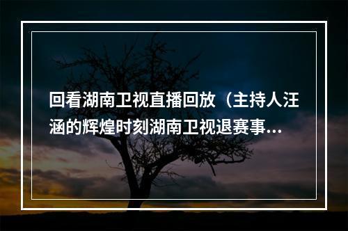 回看湖南卫视直播回放（主持人汪涵的辉煌时刻湖南卫视退赛事件中的神级救场）