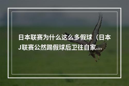 日本联赛为什么这么多假球（日本J联赛公然踢假球后卫往自家球门踢）