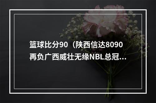 篮球比分90（陕西信达8090再负广西威壮无缘NBL总冠军）